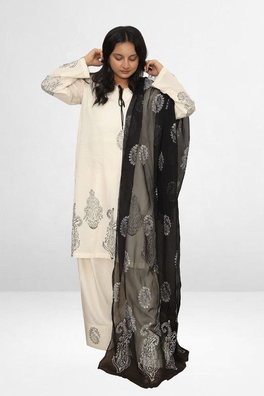 Naqs-e-Noor