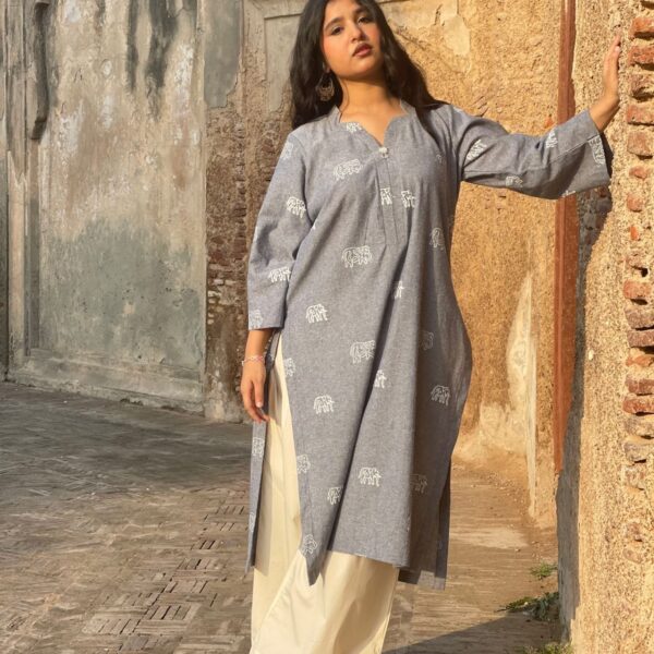 Noor-e-Dharti (2pcs)